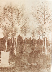 Friedhof um 1900