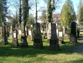Friedhof 2010